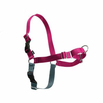 PetSafe Harness EasyWalk zmeură M