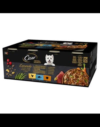 CESAR Natural Goodness Casserole 24x400 g hrana caini adulti cu pui, cu peste alb, curcan in sos cu cereale integrale