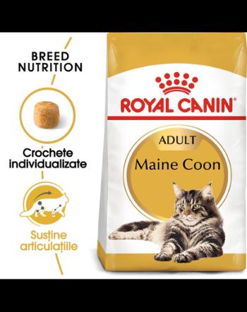 Royal Canin Maine Coon Adult hrana uscata pisica, 4 kg