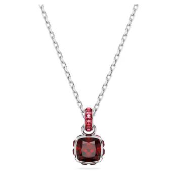 Swarovski Colier decent pentru femeile născute în ianuarie Birthstone 5651709