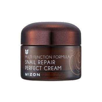 Mizon Cremă cu filtrat de melc 60 % pentru ten problematic (Snail Repair Perfect Cream) 50 ml