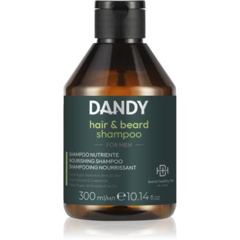 DANDY Beard & Hair Shampoo șampon pentru păr și barbă 300 ml