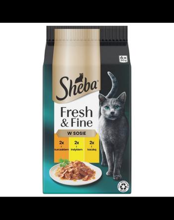 SHEBA Fresh &amp; Fine pliculet 6x50 g hrana umeda pisici in sos cu pui, curcan, rata