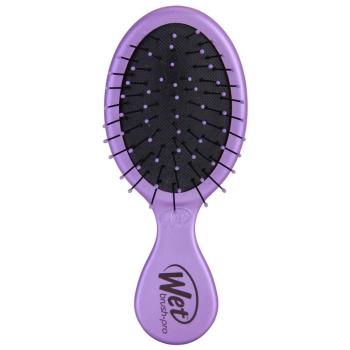 Wet Brush Mini Pro perie de par calatorii Purple 1 buc