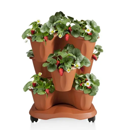 Cascadă de flori TRIFOGLIO pe roți