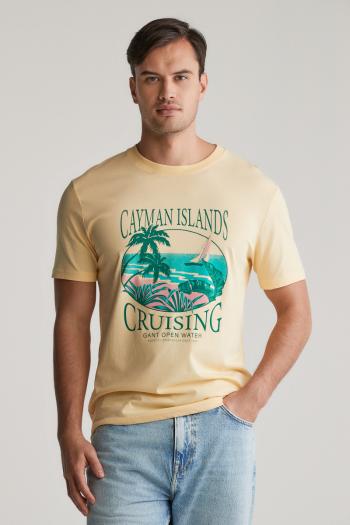 PÓLÓ GANT PLACED GRAPHIC TSHIRT DUSTY LIGHT YELLOW