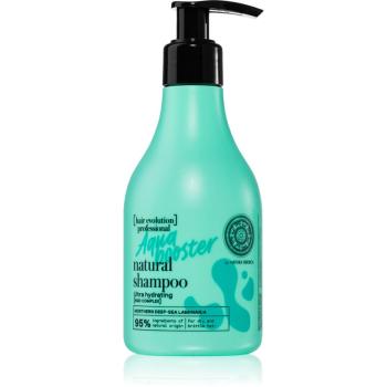 Natura Siberica Hair Evolution Aqua Booster sampon de regenerare si hidratare pentru parul fragil, lipsit de strălucire 245 ml