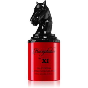 Armaf Bucephalus XI Eau de Parfum pentru bărbați 100 ml