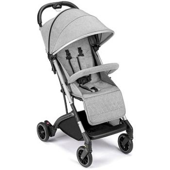 CAM Compass II, Sivý a strieborný podvozok (8005549318328)