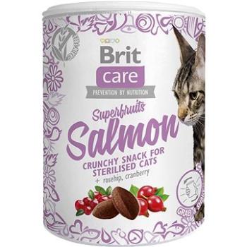 Brit Care Cat Snack Superfruits Salmon  100 g (8595602521449)