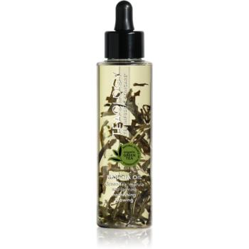 Teaology Body Bancha Oil Ulei hrănitor și hidratant 100 ml