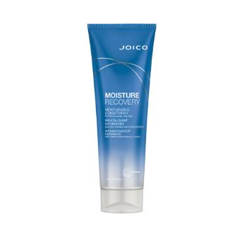 Joico Balsam hidratant pentru păr uscat Moisture Recovery (Conditioner For Dry Hair ) 250 ml