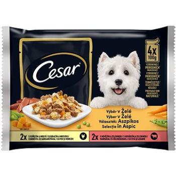 Cesar Selection v želé 4× 100 g (8410136020735)