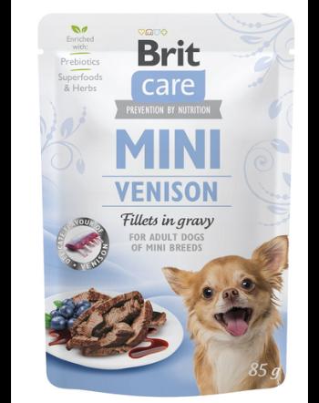 BRIT CARE Mini Adult Pouch Venison 24x85g Hrana umeda cu vanat pentru caini de talie mica