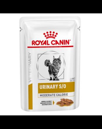 ROYAL CANIN Veterinary Diet Feline Urinary S/O Moderate Calorie 48 x 85 gr- hrana umeda dietetica cu calorii reduse pentru pisicile cu afectiuni ale tractului urinar inferior