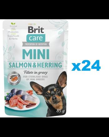 BRIT Care Mini Pouch plic hrana umeda caini sterilizati 24x85g pentru rase mici