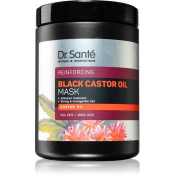 Dr. Santé Black Castor Oil mască hidratantă pentru păr 1000 ml