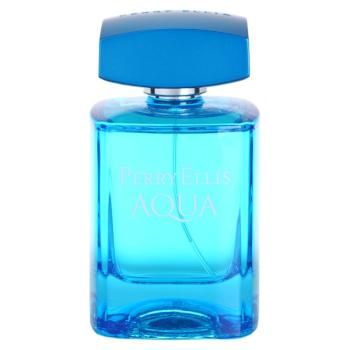 Perry Ellis Aqua Eau de Toilette pentru bărbați 100 ml