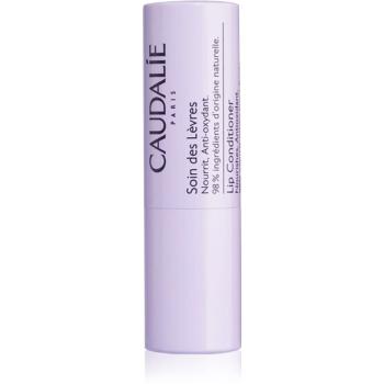 Caudalie Lip Care Balsam de buze hidratant 4,5 g