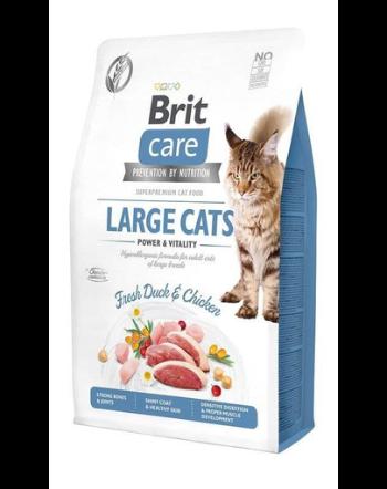 BRIT Care Cat Grain-Free Large Cats hrana uscata pisici de talie mare, cu rata si pui 7 kg