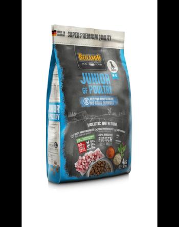 BELCANDO Junior Poultry hrana uscata fara cereale pentru juniori, talie M-XL, 4 kg