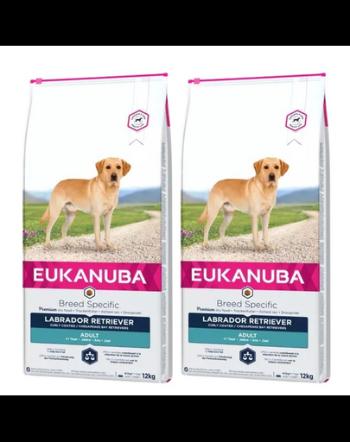 EUKANUBA Adult Breeds Specific Labrador Retriever Chicken 24 kg (2 x 12 kg) hrana uscata caini Labrador Retriever adulti, cu pui