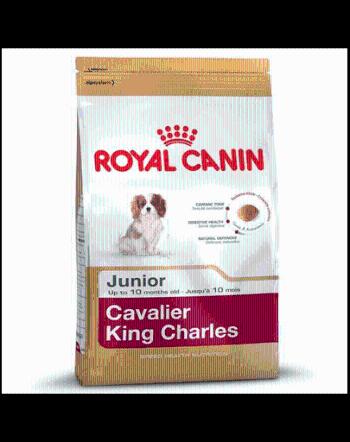 ROYAL CANIN Cavalier King Charles Junior Hrana uscata catel rasa Cavalier King Charles 1,5 kg