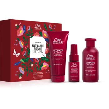 Wella Professionals Ultimate Repair Set set cadou pentru par deteriorat Spring