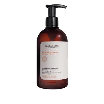 L'Occitane en Provence Șampon pentru păr uscat și deteriorat Intensive Repair (Shampoo) 500 ml