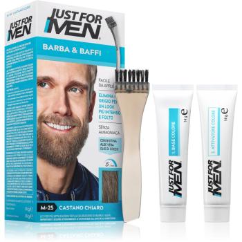 Just for Men Men Moustache & Beard vopsea pentru barbă pentru acoperirea firelor albe culoare M-25 Light Grey 1 buc