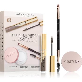 Anastasia Beverly Hills Full & Feathered Brow Kit Mini kit pentru sprâncene culoare Taupe