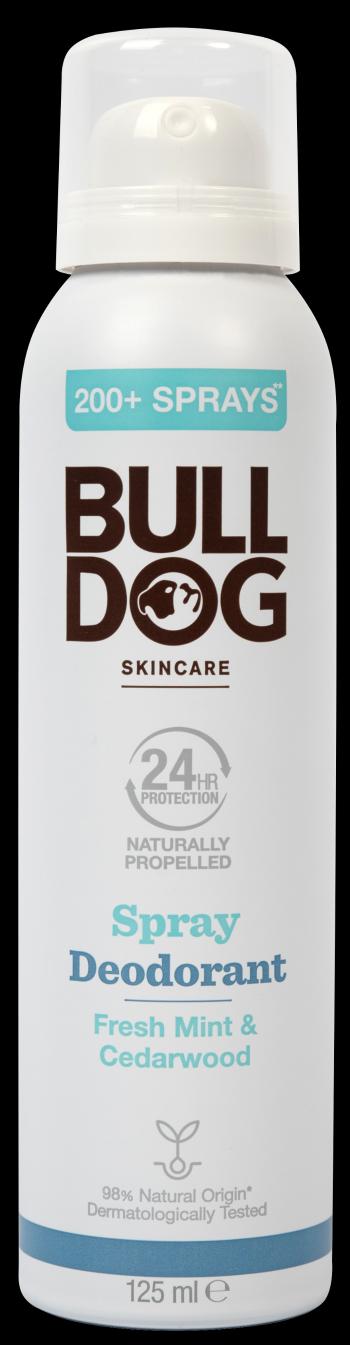 BULLDOG Fresh Mint & Cedarwood spray deodorant 125 ml