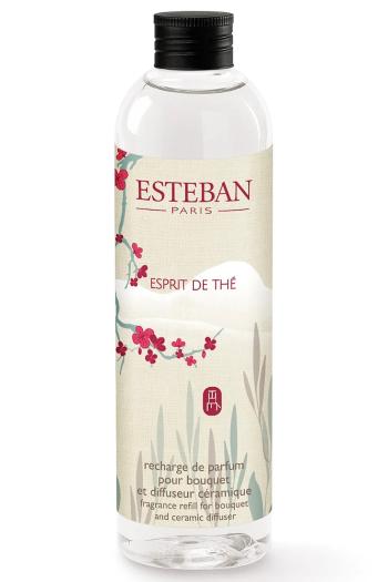 Aroma difuzér Esteban Esprit de thé 250 ml viac farieb