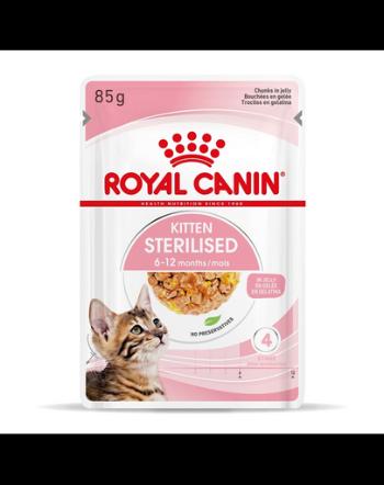 ROYAL CANIN Kitten Sterilised Hrana umeda pentru pisoi sterilizati, in aspic 24 x 85 g