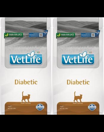 FARMINA Vet Llife Diabetic Cat 2 x 2 kg hrana uscata pentru pisici cu diabet