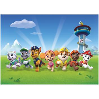 Suport farfurie pentru copii Paw Patrol, 42 x 30 cm