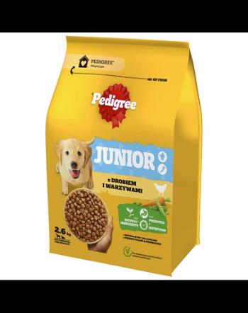 PEDIGREE Junior 2,6 kg hrana cu pasare si legume pentru caini adolescenti de rase mari si medii