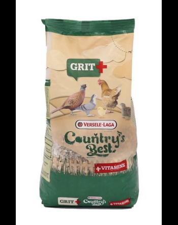 VERSELE-LAGA Country's Best Grit + 1,5kg Grit pentru pasari de curte ornamentale si de reproductie cu vitamine