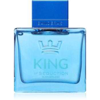 Banderas King of Seduction Summerland Eau de Toilette pentru bărbați 100 ml
