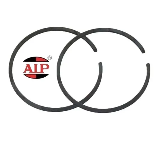 Segment Ø 48mm x 2 mm AIP