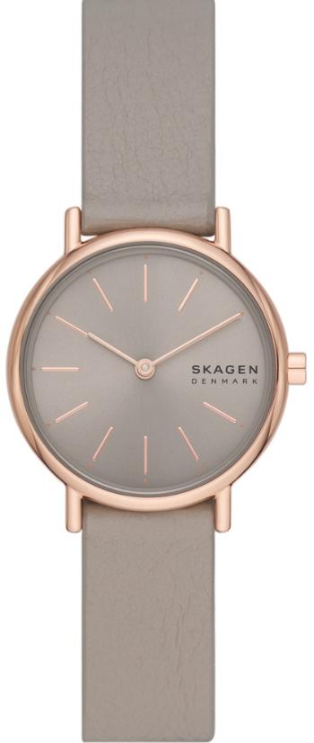 Skagen Signature SKW3060