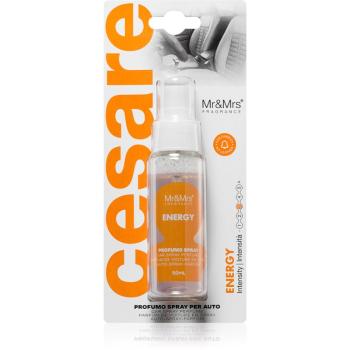 Mr & Mrs Fragrance Cesare Energy odorizant de camera pentru mașină 50 ml