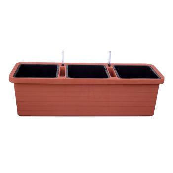Plastia Plantator cu auto-apărare Berberis TRIO,te rakota, teracotă