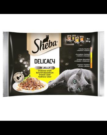 SHEBA Delicacy in Jelly Hrana umeda pentru pisici, arome de pasare 52 x 85 g