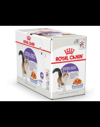 ROYAL CANIN Sterilised Plicuri hrana pisici sterilizate, in aspic 24 x 85 g