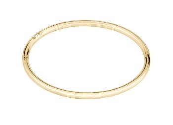 Hugo Boss Brățară solidă minimalistă din oțel placat cu aur Live 1580686