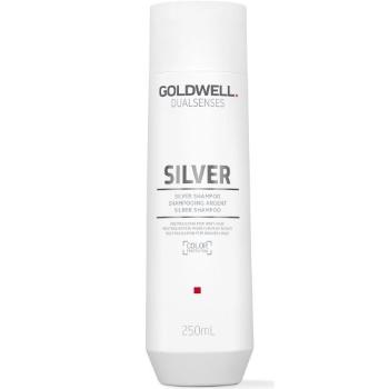 Goldwell Sampon pentru Dualsenses părul blond și gri Silver(Refining Silver Shampoo) 250 ml