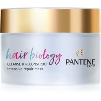 Pantene Hair Biology Cleanse & Reconstruct maska na vlasy pro mastné vlasy 160 ml