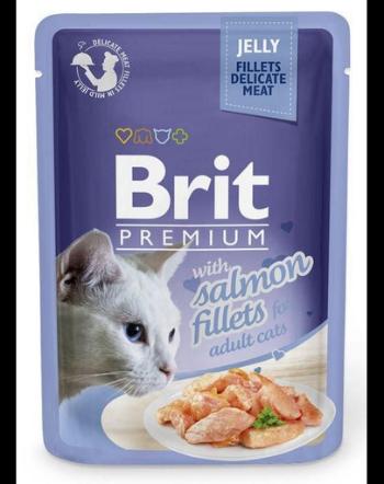BRIT Premium Cat  Fillets in Jelly hrana cu somon pentru pisici 24x85 g in aspic