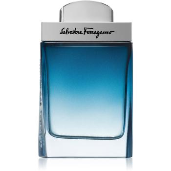 Ferragamo Subtil Pour Homme Eau de Toilette pentru bărbați 50 ml